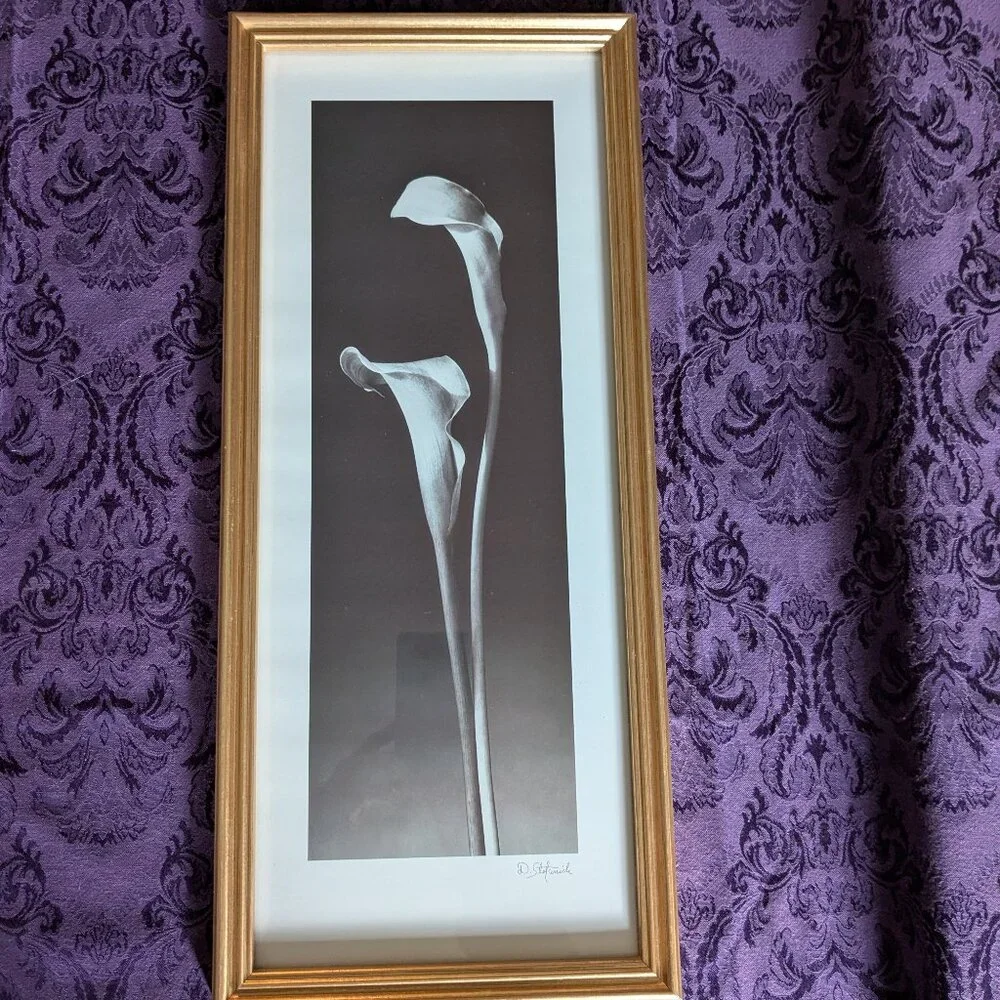 Dick & Diane Stefanich framed print "Calla Lilies" - Picture 1 of 6